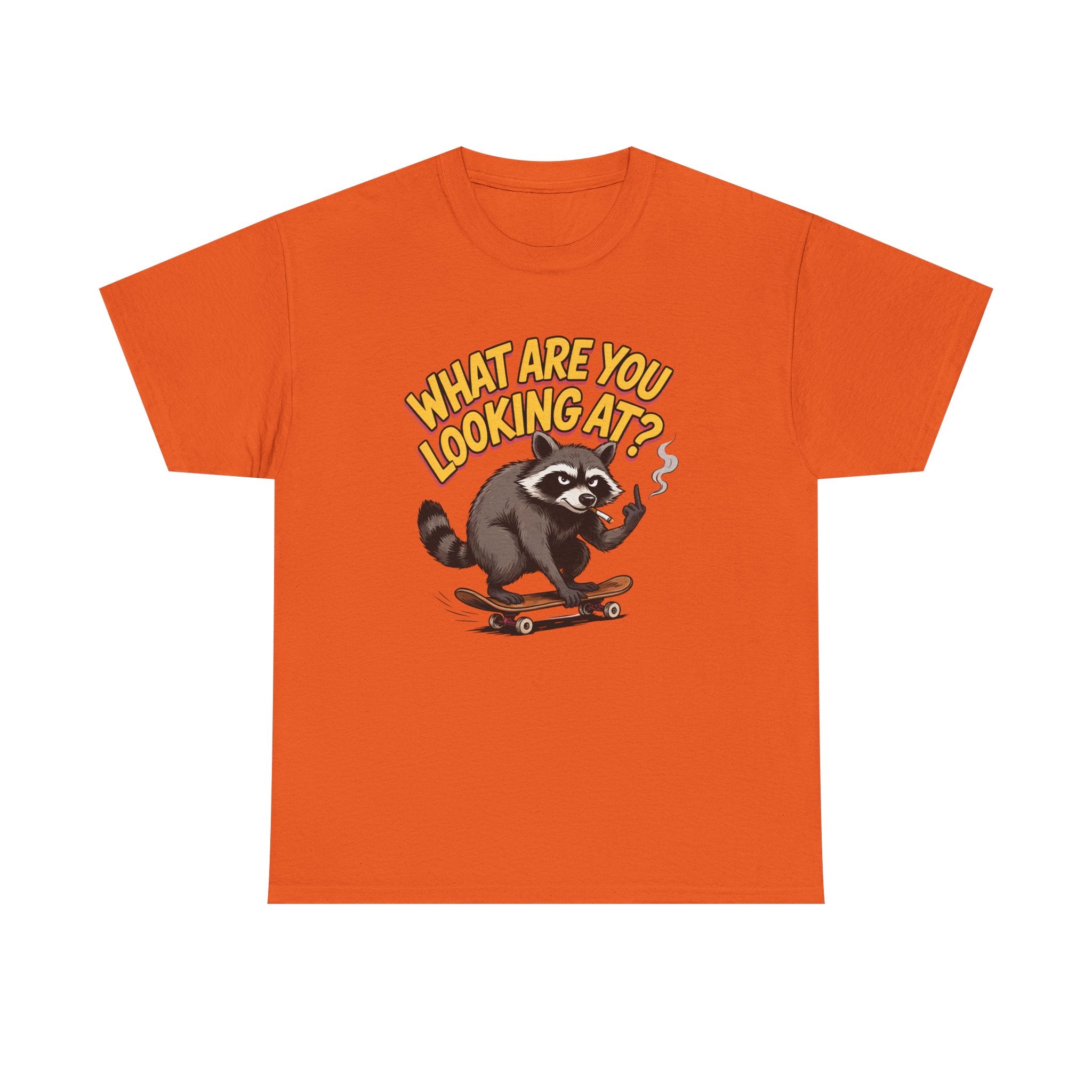 Funny Raccoon Graphic T-Shirt — What Are You Looking At Skater Humor Gift Tee